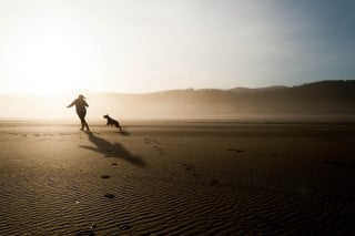 Illustration de l'article : 9 conseils fondamentaux pour emmener votre chien à la plage et en toute sécurité