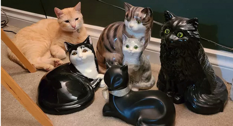 https://www.woopets.fr/assets/ckeditor/2022/jul/actualities/15654/xl/292498178_551316839988483_4053630625948231453_n.jpg