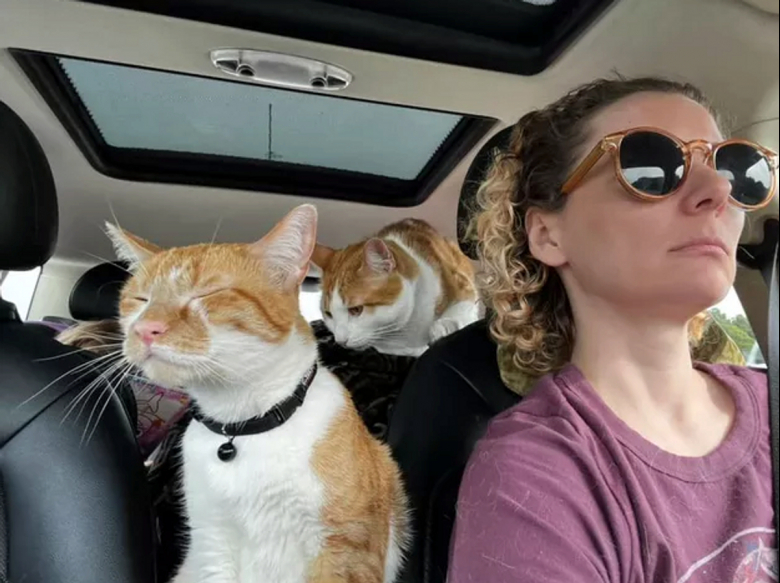 https://www.woopets.fr/assets/ckeditor/2022/jul/actualities/15654/xl/292535836_721410382305850_6339552577871015310_n.jpg