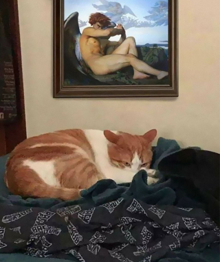 Illustration de l'article : 20 photos de chats qui ne contribueront pas à défaire le cliché selon lequel ils veulent dominer le monde