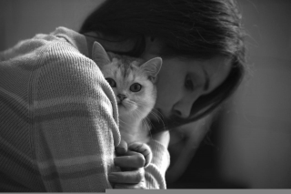 Illustration de l'article : 10 signes infaillibles qui prouvent que vous êtes une personne à chats
