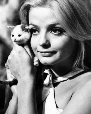 Illustration de l'article : 18 photos de vedettes en compagnie de leurs chats, des portraits chargés d'histoire