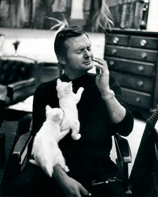 Illustration de l'article : 18 photos de vedettes en compagnie de leurs chats, des portraits chargés d'histoire