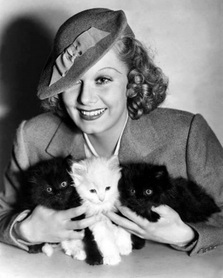 Illustration de l'article : 18 photos de vedettes en compagnie de leurs chats, des portraits chargés d'histoire