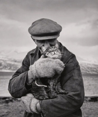 Illustration de l'article : 18 photos de vedettes en compagnie de leurs chats, des portraits chargés d'histoire
