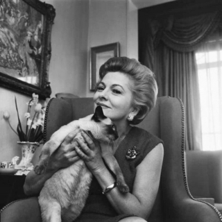 Illustration de l'article : 18 photos de vedettes en compagnie de leurs chats, des portraits chargés d'histoire