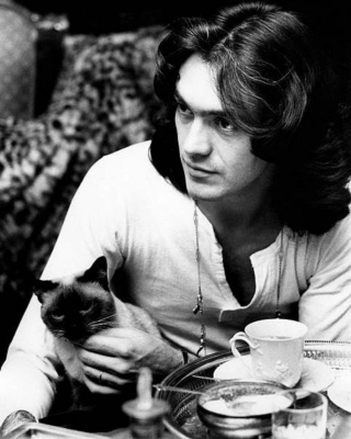 Illustration de l'article : 18 photos de vedettes en compagnie de leurs chats, des portraits chargés d'histoire