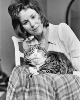 Illustration de l'article : 18 photos de vedettes en compagnie de leurs chats, des portraits chargés d'histoire
