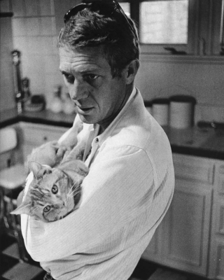 Illustration de l'article : 18 photos de vedettes en compagnie de leurs chats, des portraits chargés d'histoire