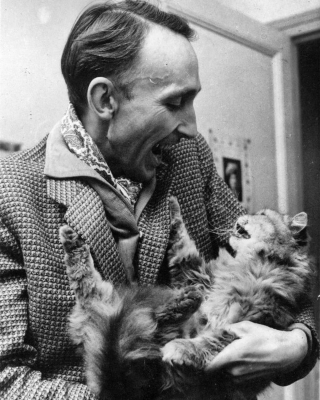 Illustration de l'article : 18 photos de vedettes en compagnie de leurs chats, des portraits chargés d'histoire
