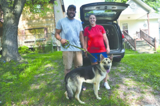 Illustration de l'article : Un chien d'assistance rencontre son ami pour la vie, un ancien militaire, grâce à une association