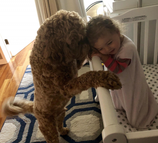 Illustration de l'article : 18 photos de chiens et chats qui vont vous libérer de votre mauvaise humeur