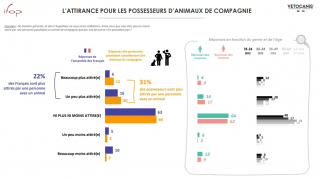 Illustration de l'article : Outils de séduction, déclencheurs de relations amoureuses, sources de tensions : quelle est la place des animaux de compagnie dans le couple ?