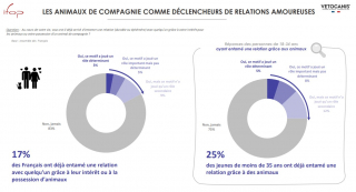 Illustration de l'article : Outils de séduction, déclencheurs de relations amoureuses, sources de tensions : quelle est la place des animaux de compagnie dans le couple ?