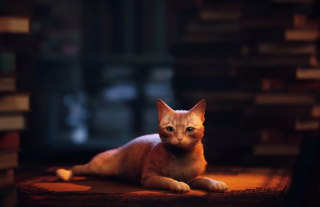 Illustration de l'article : Stray, un jeu vidéo haletant où vous adoptez le point de vue d'un chat errant et bravez les dangers de la rue