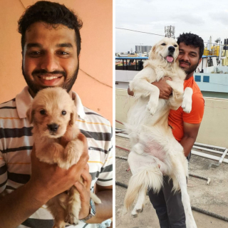 Illustration de l'article : 11 chiens et chats qui ont bien grandi à la hauteur de l'amour de leurs maîtres