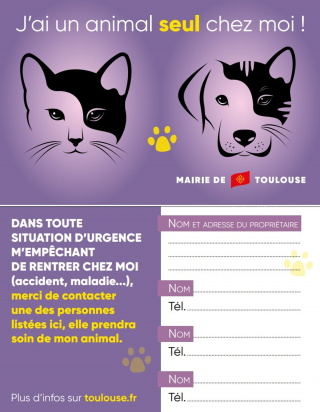 Illustration de l'article : Une carte pour la prise en charge de son animal de compagnie en cas d'urgence