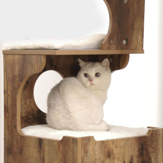 Illustration de l'article : À la découverte de l'arbre à chat et de la maison de toilette Feandrea : qu'en pense notre félin ?