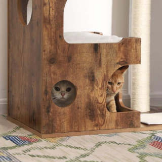 Illustration of the article: Discovering the cat tree and the Feandrea toilet: what do our cats think?