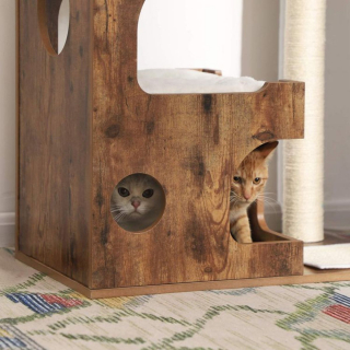 Illustration de l'article : À la découverte de l'arbre à chat et de la maison de toilette Feandrea : qu'en pense notre félin ?