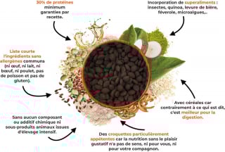 Illustration de l'article : Nouveau venu sur le marché des croquettes pour chien, Kookapi se démarque par son engagement au profit de la vie animale et de la planète