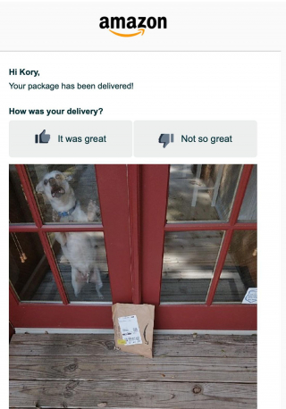 Illustration de l'article : Pour confirmer la livraison d'un colis, un livreur envoie une photo hilarante du chien de la maison !