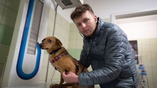 Illustration de l'article : Un vétérinaire audacieux traverse l'Ukraine pour sauver des centaines d'animaux pris au piège au cœur du conflit