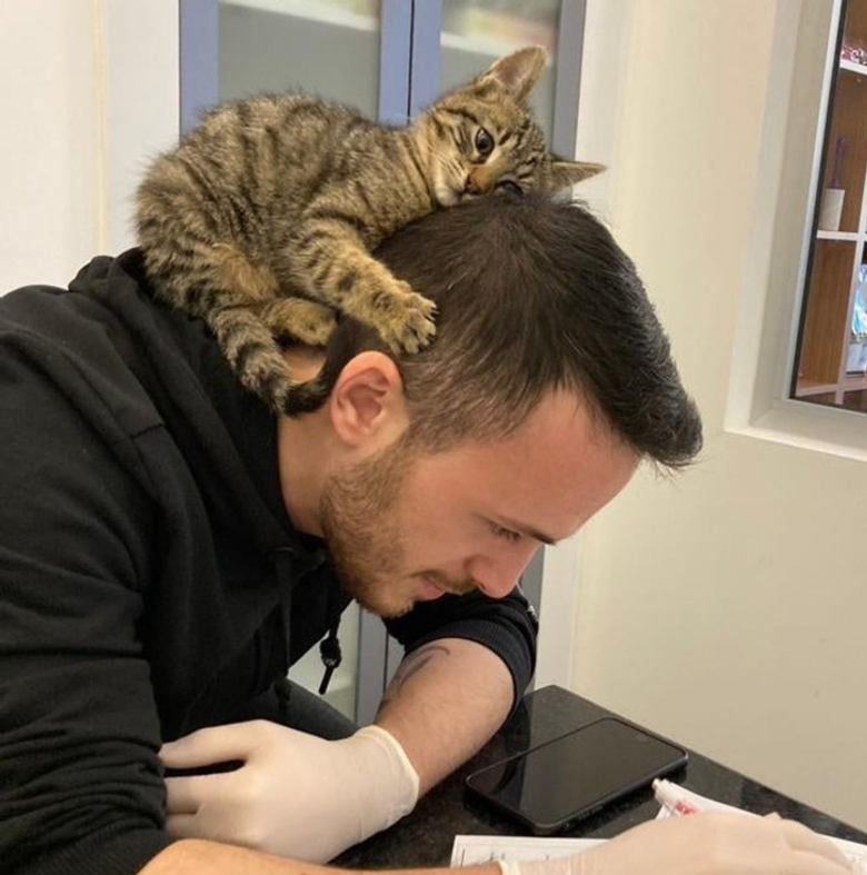 https://www.woopets.fr/assets/ckeditor/2022/mar/actualities/13437/xl/cafaec5d6fbd6d69c9d0f9c08a.jpg