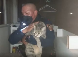 Illustration de l'article : La vidéo impressionnante du sauvetage d'un chat par un policier dans le bureau du maire de la ville