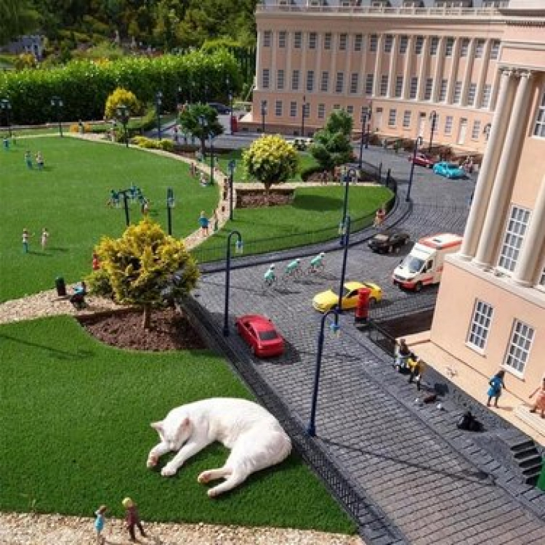 https://www.woopets.fr/assets/ckeditor/2022/mar/actualities/13466/xl/xx-photos-de-chiens-et-chats-qui-vont-vous-aider-a-relativiser-4ea976e12.jpeg