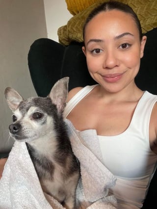 Illustration de l'article : 10 ans après le vol de son chien dans un parc, cette femme de 22 ans le retrouve !