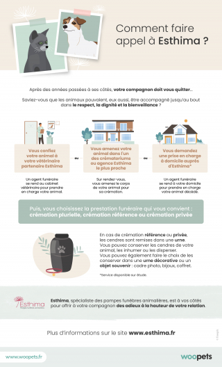 Illustration de l'article : Faire face au décès de son chien