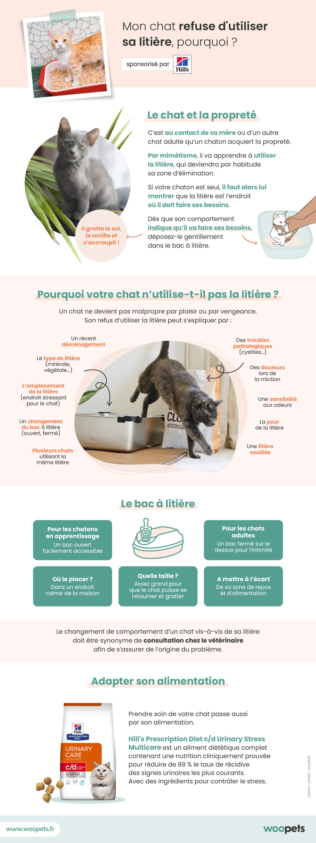 Mon Chat Refuse D Utiliser Sa Litiere Causes Et Solutions