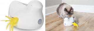 Illustration de l'article : Les 8 meilleurs jouets interactifs pour occuper et amuser votre chat, à prix abordable