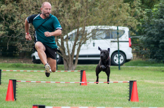 Illustration de l'article : 11 sports canins ludiques et idéals pour vous renforcer votre relation avec votre chien