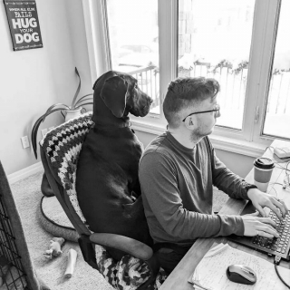 Illustration de l'article : 20 chiens et chats qui ne connaissent pas les limites de l'espace privé