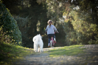 Illustration de l'article : 10 avantages d'avoir un chien dans sa vie