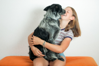 Illustration of the article: 10 benefits of having a dog in your life