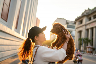 Illustration de l'article : 10 avantages d'avoir un chien dans sa vie