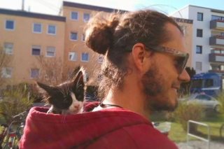 Illustration de l'article : Une jeune chatte errante prend un nouveau départ dans la vie et parcourt le monde avec son sauveur (vidéo)
