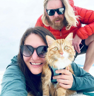 Illustration de l'article : 15 photos d'un chat menant une vie de baroudeur