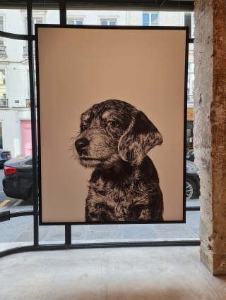 Illustration de l'article : Woopets est parti à la découverte de l'instinct animal lors d'une expo photo organisée par Royal Canin 
