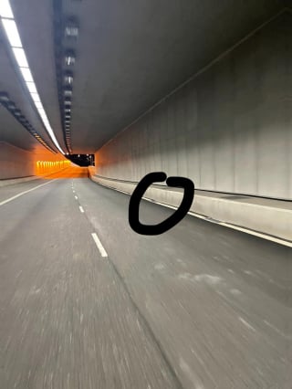 Illustration de l'article : Un jeune motard aperçoit un chat errant en danger dans un tunnel et décide d'intervenir