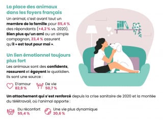 Illustration de l'article : Les Français face à la mort de leur animal, considéré comme un membre de la famille : une épreuve douloureuse à surmonter