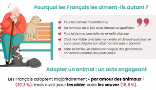 Illustration of the article: The French face the death of their animal, considered a member of the family: a painful ordeal to overcome