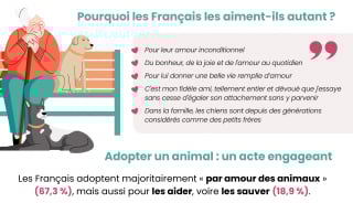 Illustration de l'article : Les Français face à la mort de leur animal, considéré comme un membre de la famille : une épreuve douloureuse à surmonter