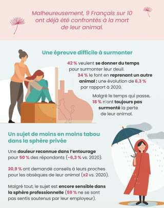 Illustration de l'article : Les Français face à la mort de leur animal, considéré comme un membre de la famille : une épreuve douloureuse à surmonter