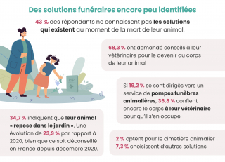 Illustration de l'article : Les Français face à la mort de leur animal, considéré comme un membre de la famille : une épreuve douloureuse à surmonter
