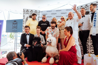 Illustration de l'article : Palm Dog by Dogamí : le prix du meilleur chien acteur décerné à Brit la Caniche pour sa performance dans « War Pony »