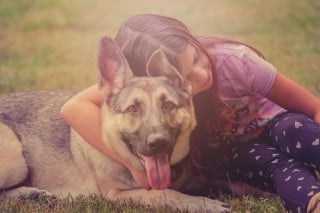 Illustration de l'article : Pour un enfant autiste et sa famille, le chien d'assistance ouvre littéralement de nouveaux horizons, révèle une étude